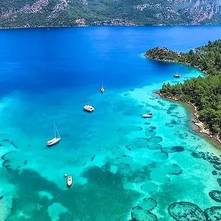 Apartman Albatros